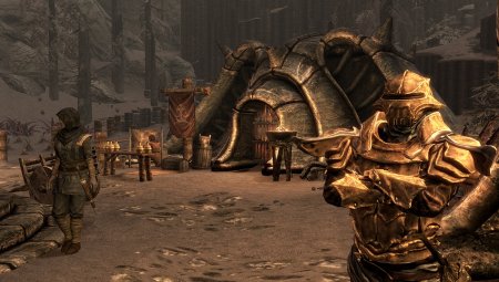 The Elder Scrolls 5: Dragonborn в 2013