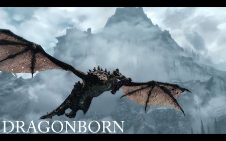 The Elder Scrolls 5: Dragonborn в 2013