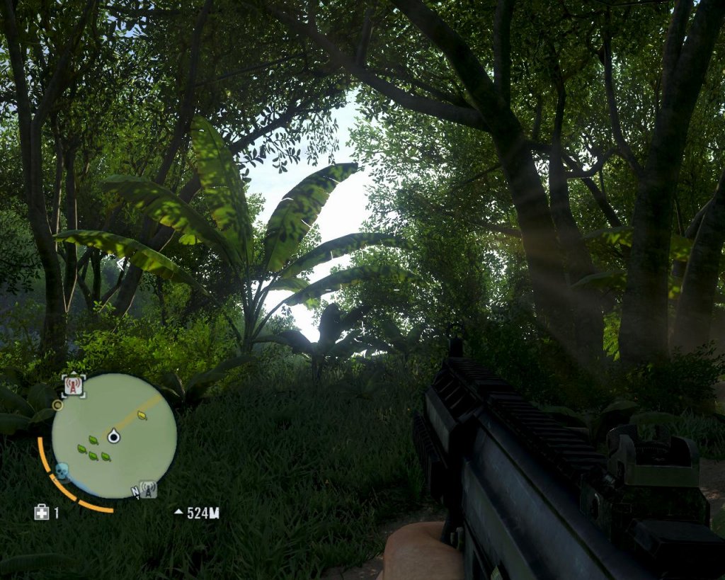Far Cry 3- расстановка точек
