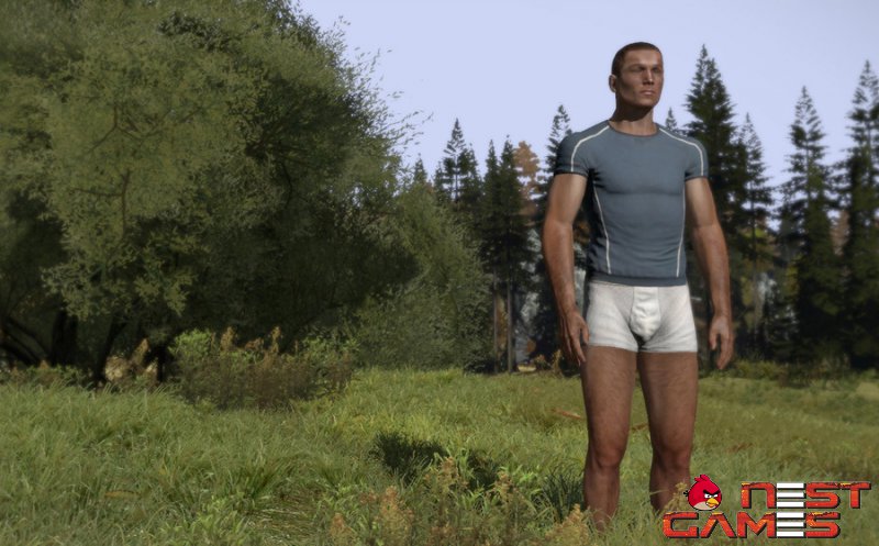 О причинах переноса DayZ