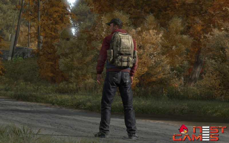 О причинах переноса DayZ