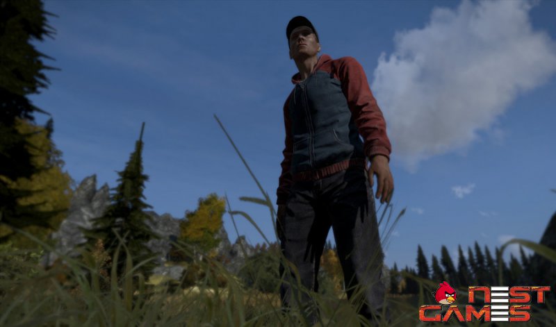 Посвежевший DayZ