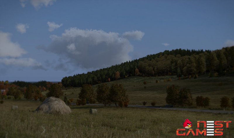 Посвежевший DayZ