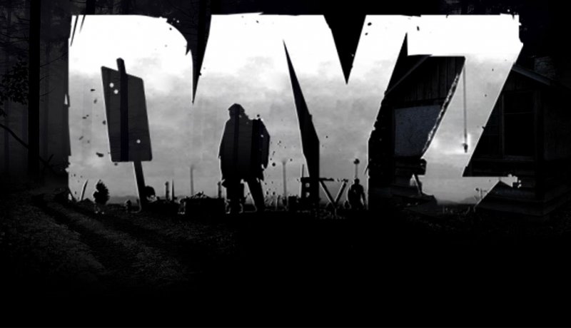 Несколько подробнестей о DayZ