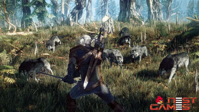 The Witcher 3: Wild Hunt- природа и противники
