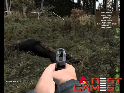 Как ситуация на грани смерти вдохновила Дина Холла на создание DayZ.