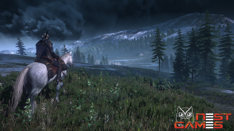 Сражения с боссами в The Witcher 3: Wild Hunt