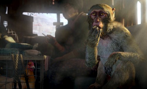 Новый трейлер FarCry 4 покажет "плюшки" за предзаказ