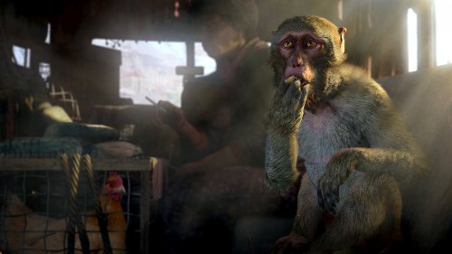 Far Cry 4 - новая часть знаменитой серии
