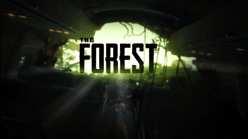 В The Forest завезли кооператив