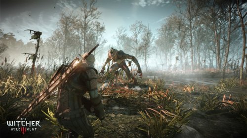 Патч к The Witcher 3 (Ведьмак 3) ничего не изменил