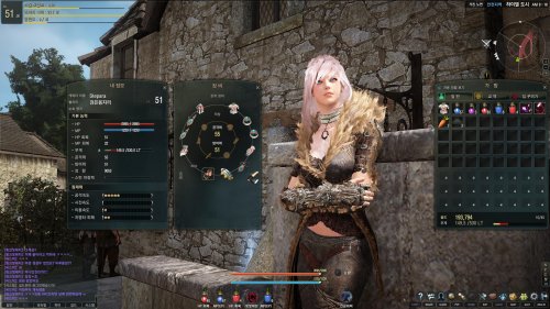 Старт ЗБТ Black Desert Online